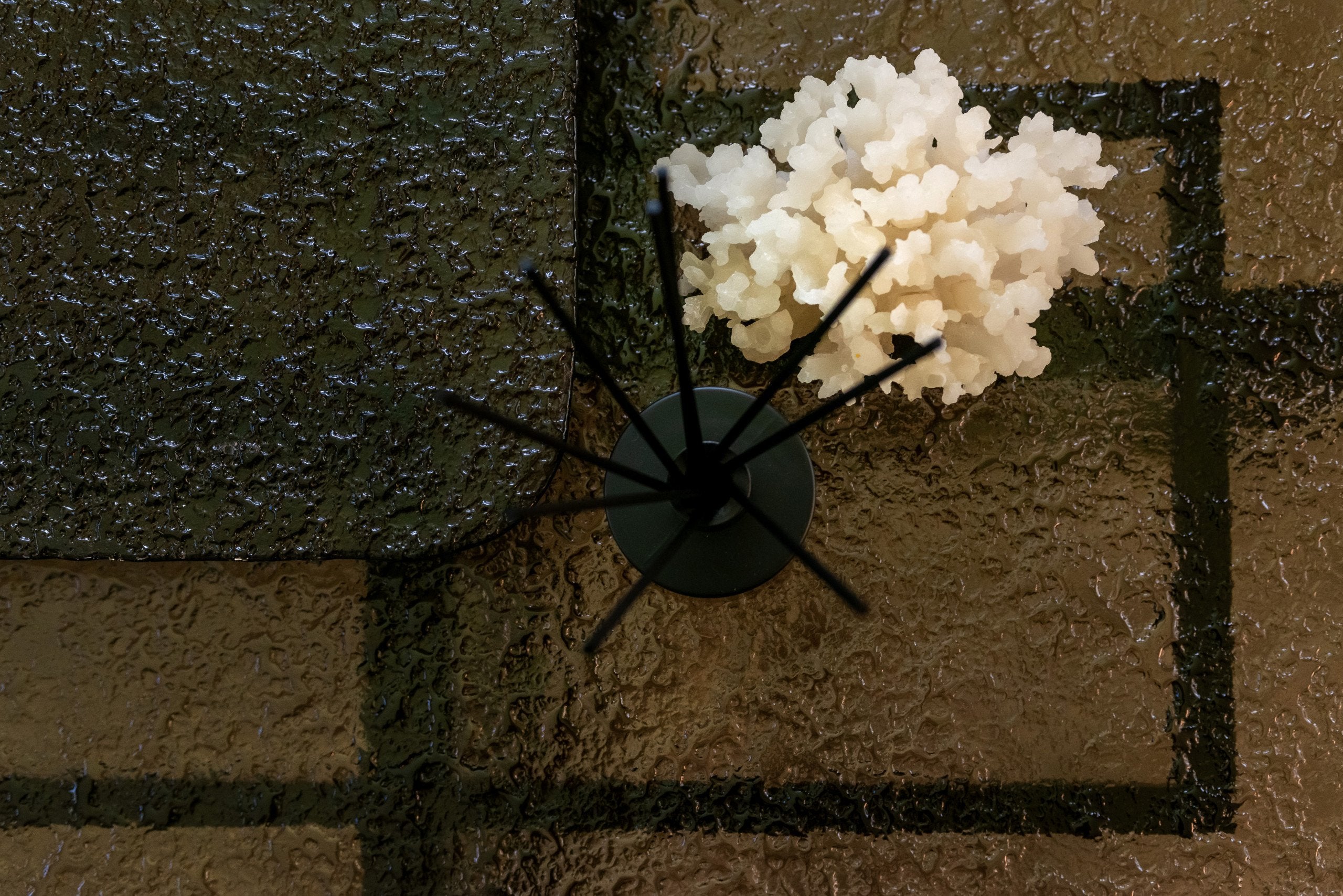 Coffee table Sterling brown (Set of 2)