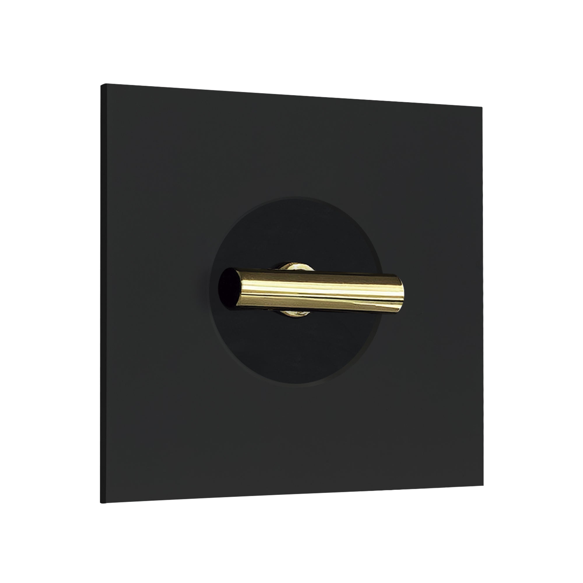 Rotary Switch Twenty