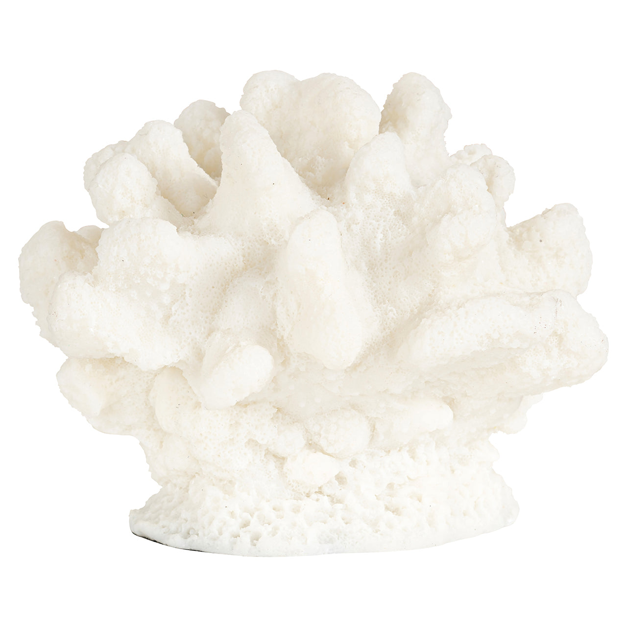 Faux coral Mare (White)