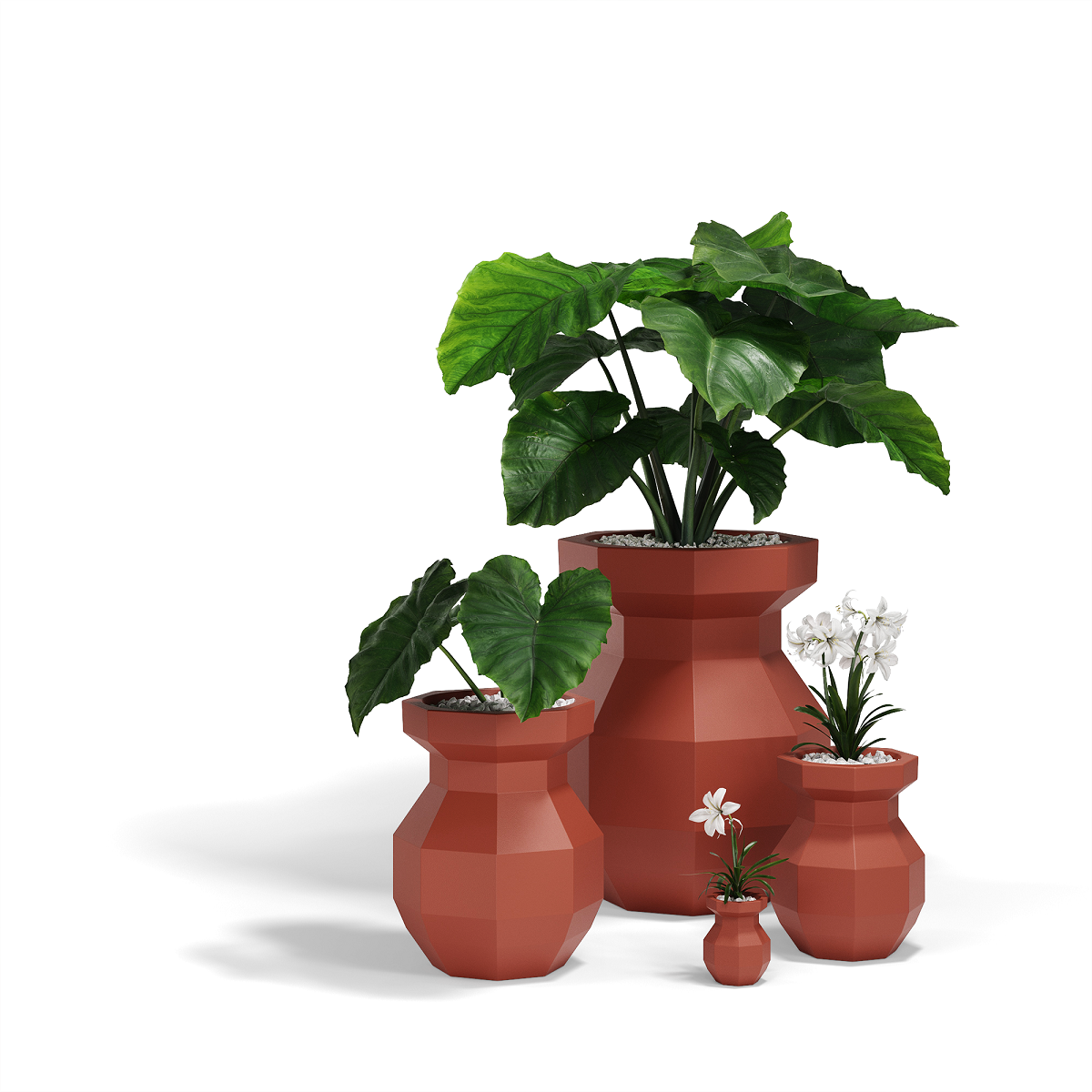 Origami Yuri 79X79X120